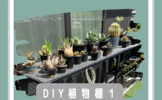 DIY初心者 イレクターパイプで植物棚を作ってみた part2 | ぼたらいふ