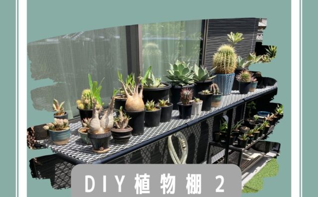 DIY初心者 イレクターパイプで植物棚を作ってみた | ぼたらいふ