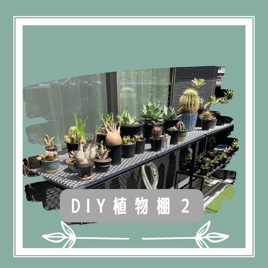 DIY初心者 イレクターパイプで植物棚を作ってみた | ぼたらいふ