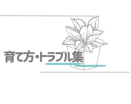 育て方・トラブル集