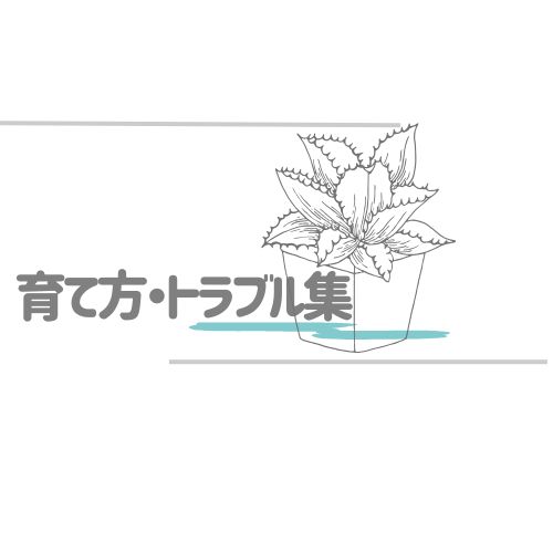 育て方・トラブル集