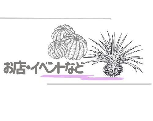 お店・イベントなど