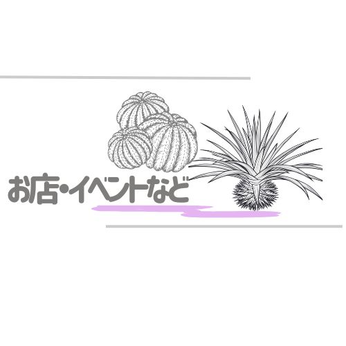 お店・イベントなど